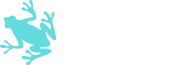 Webfrog